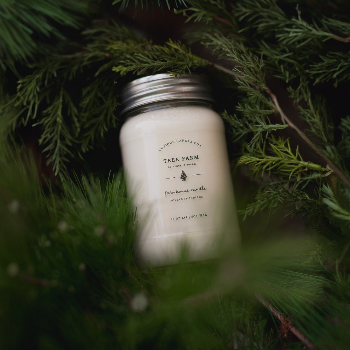 Christmas Bundle of Eight