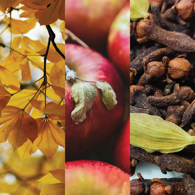 Autumn Apple Bundle