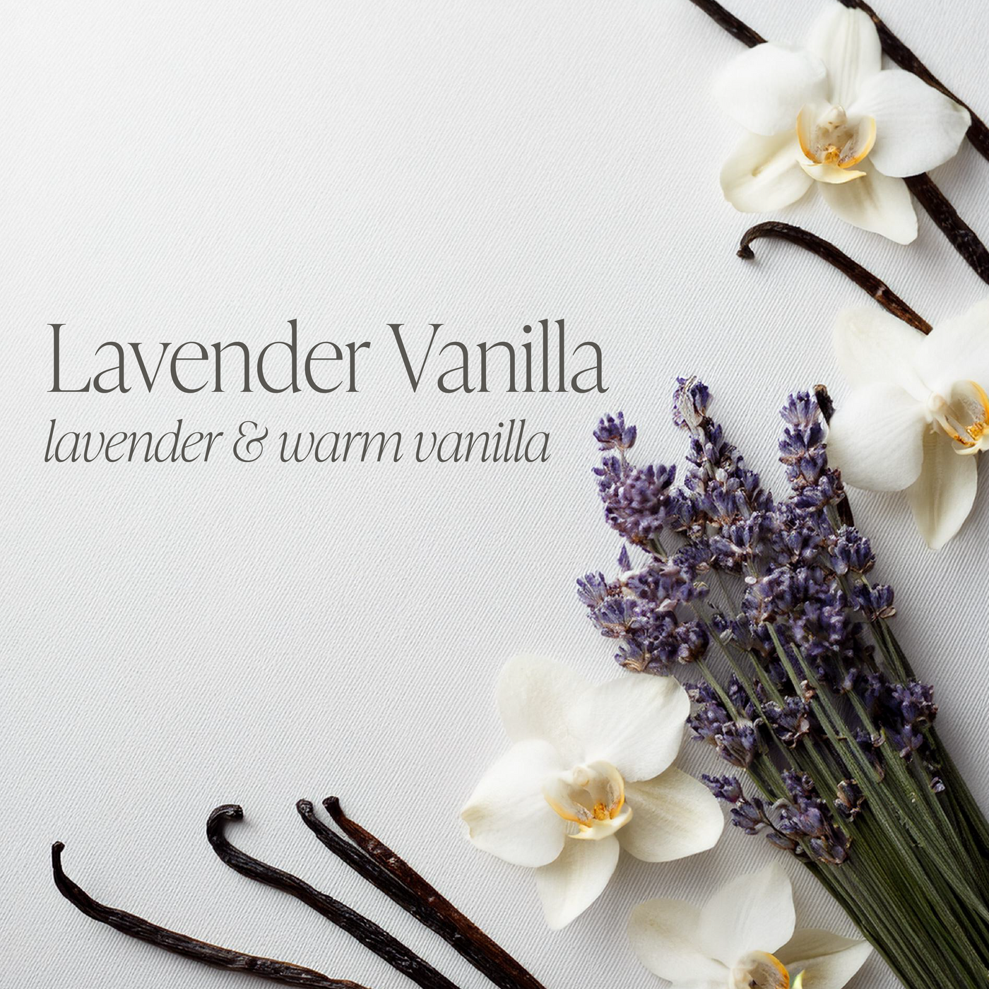 Lavender Vanilla Bundle