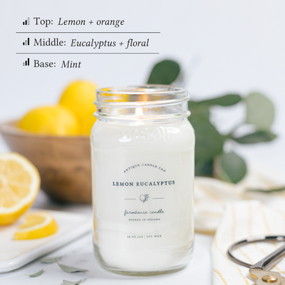 Lemon Eucalyptus 16 oz candle