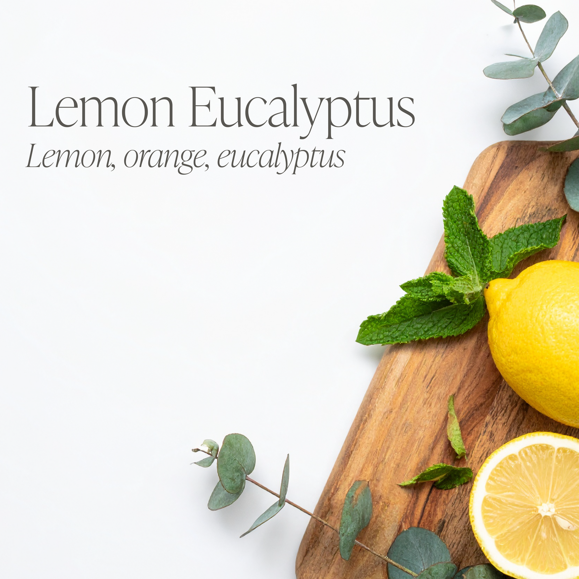 Lemon Eucalyptus 16 oz candle