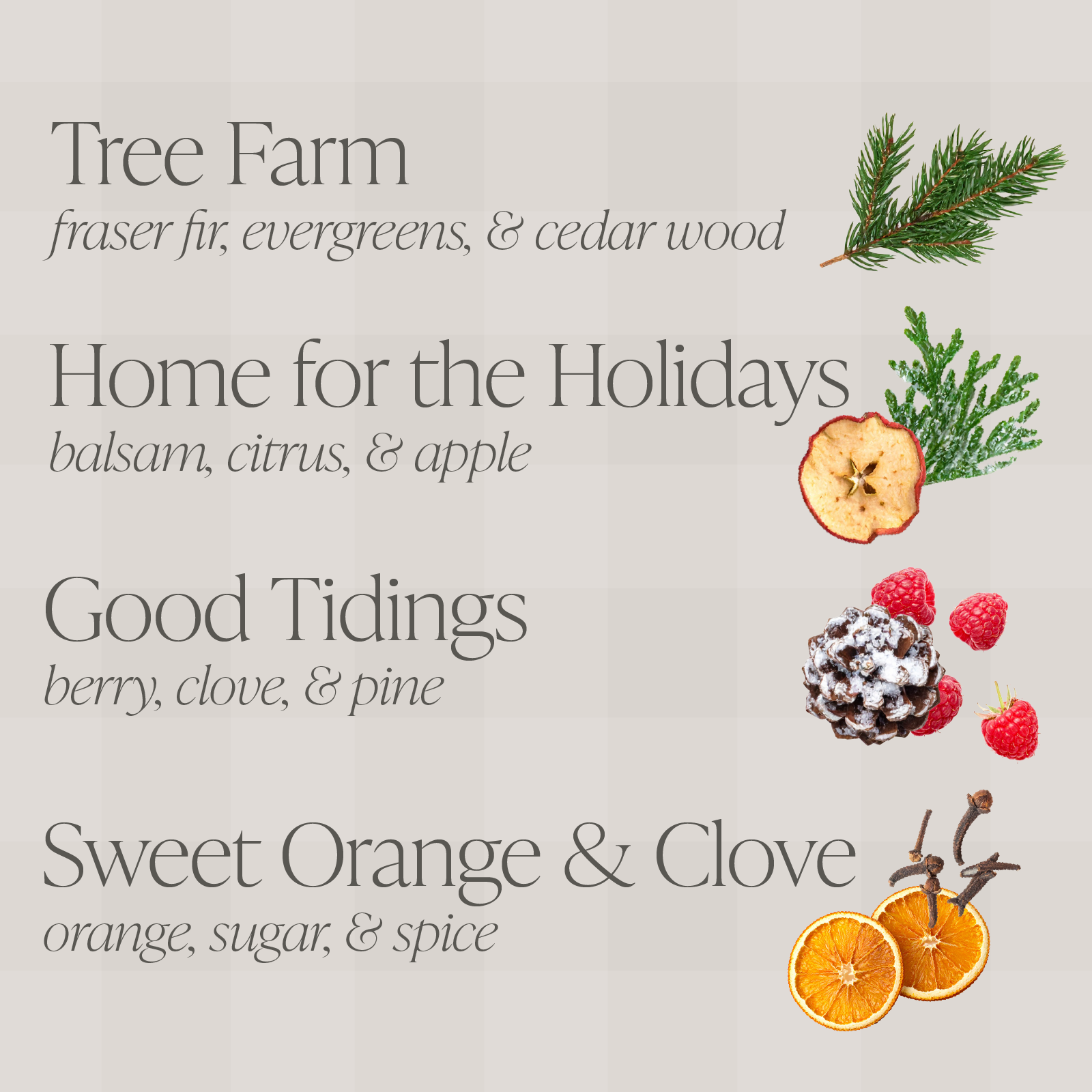 Michelle’s Faves Bundle of Four