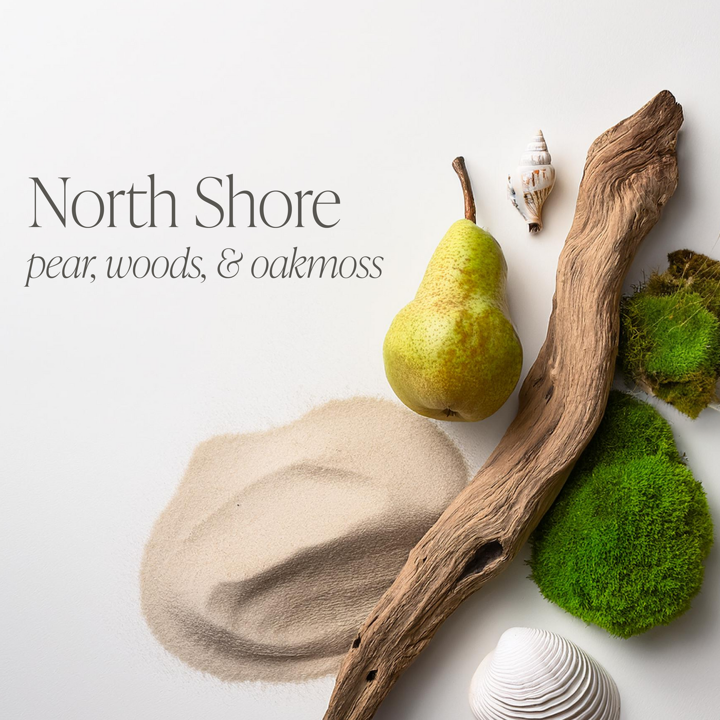 North Shore by Ellery Designs Bundle