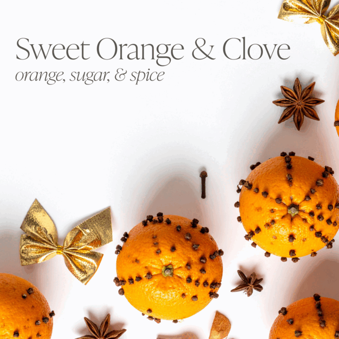 New Arrivals Bundle of Three