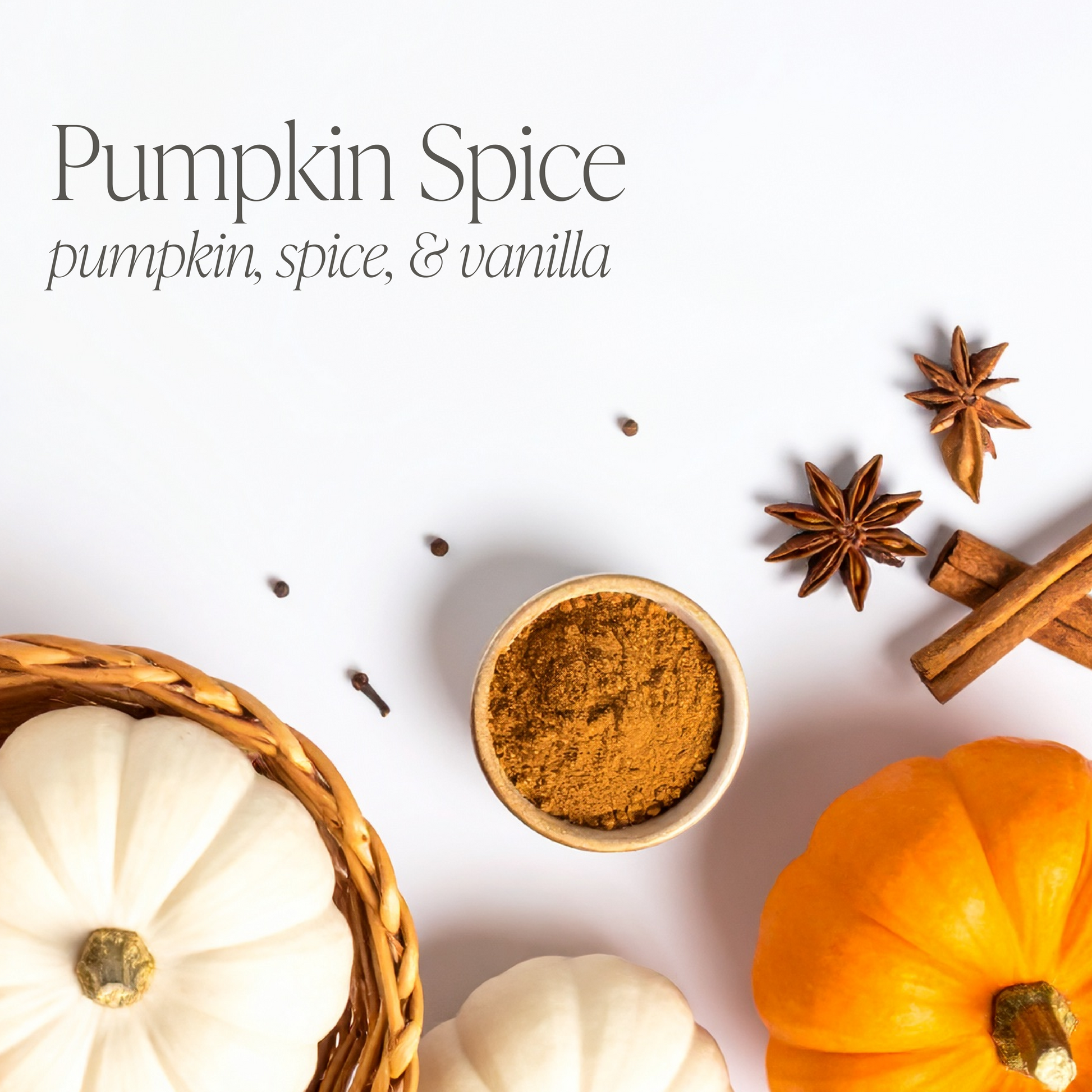 Pumpkin Bundle of Three