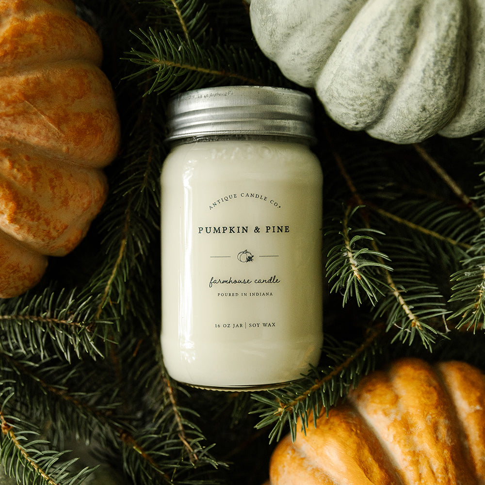 Pumpkin & Pine 16 oz candle