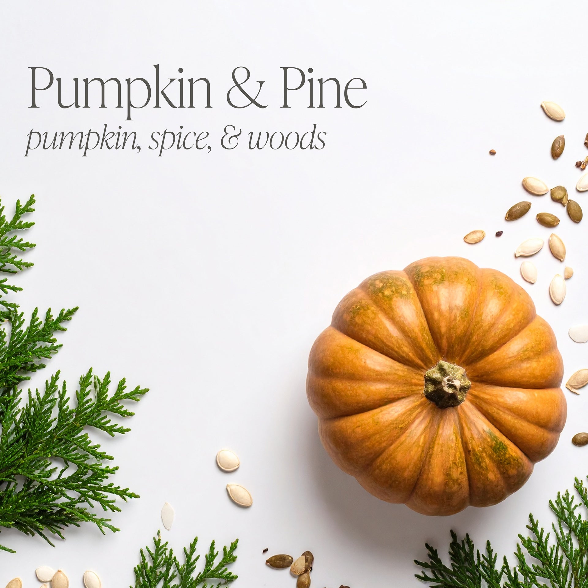 Pumpkin & Pine Bundle