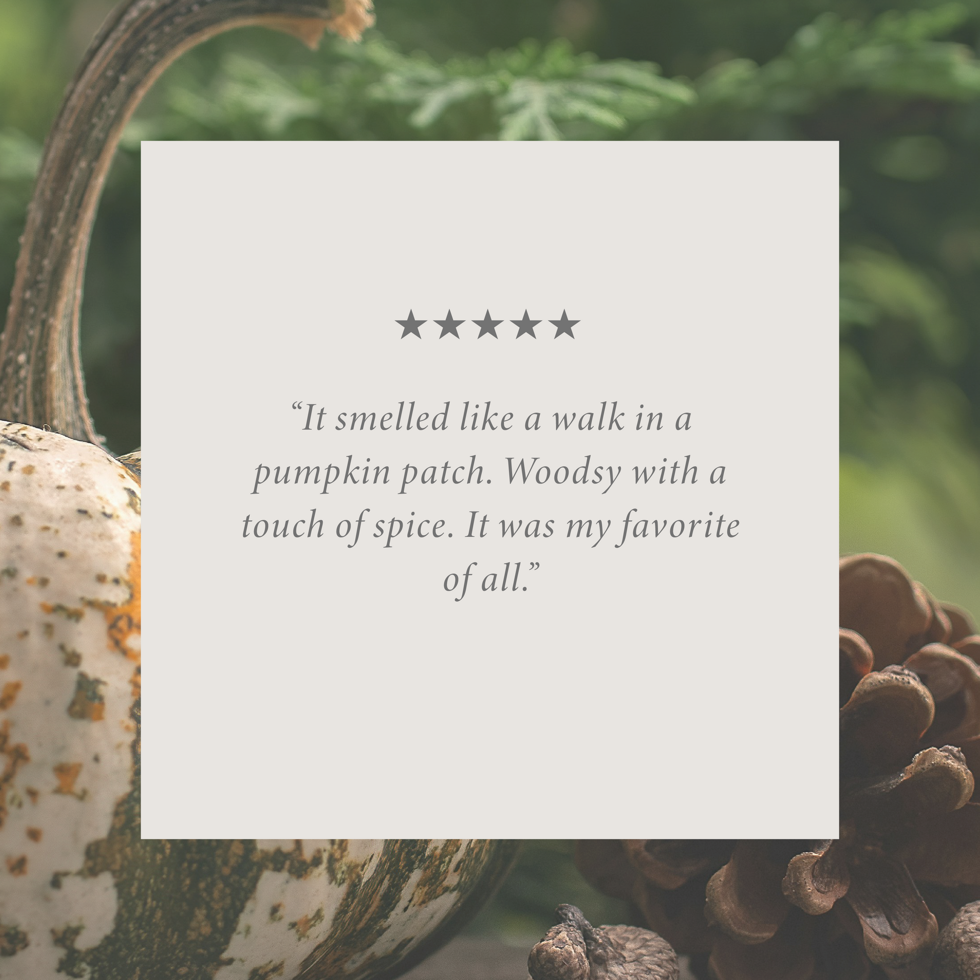 Pumpkin & Pine 16 oz candle