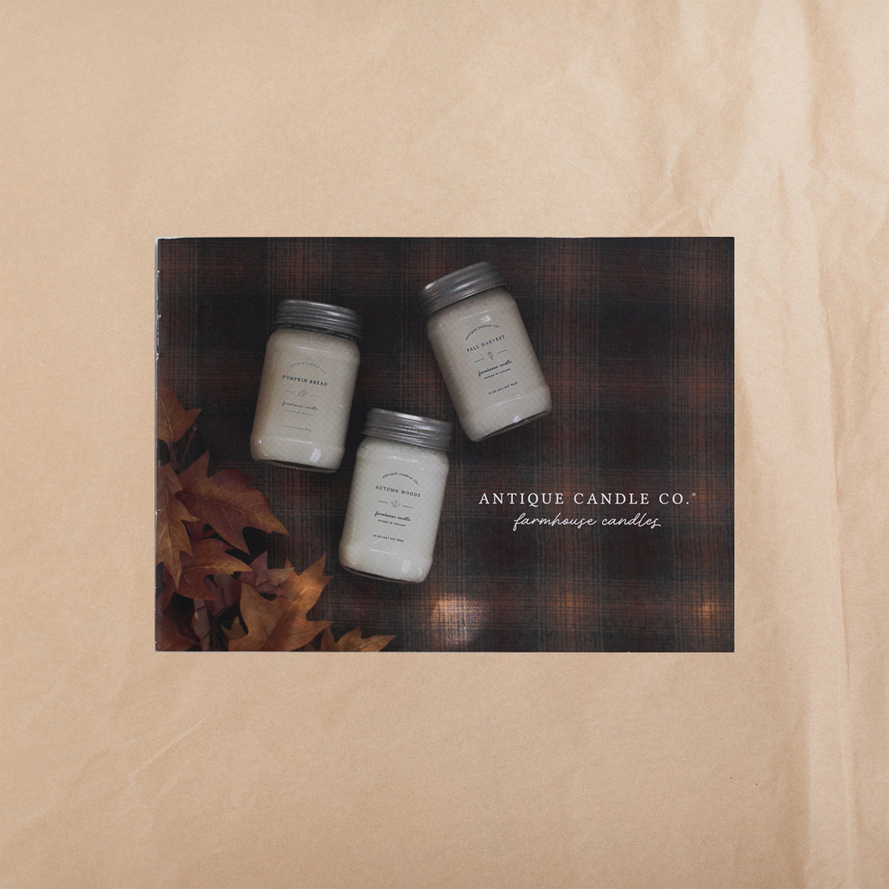 Discover Cozy: Scent Sample Booklet