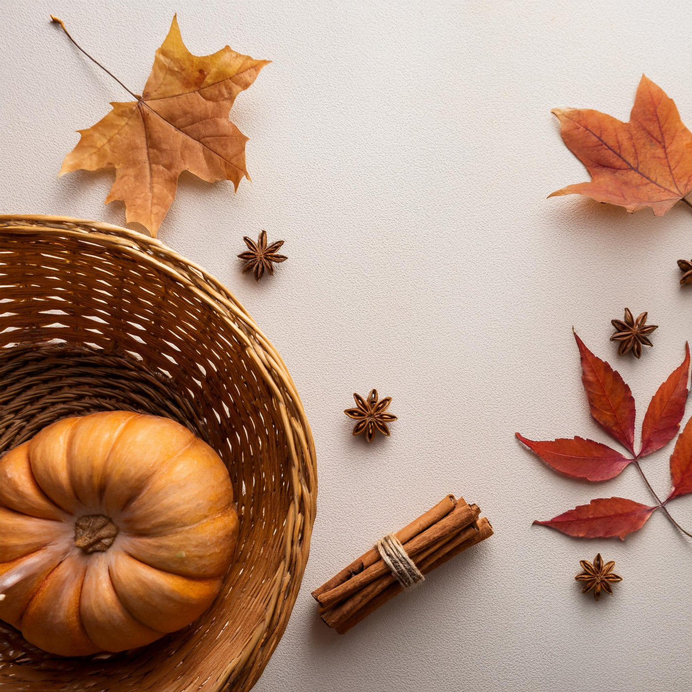 Pumpkin Project Bundle of Three