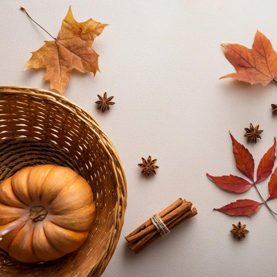 Pumpkin Project Bundle of Three