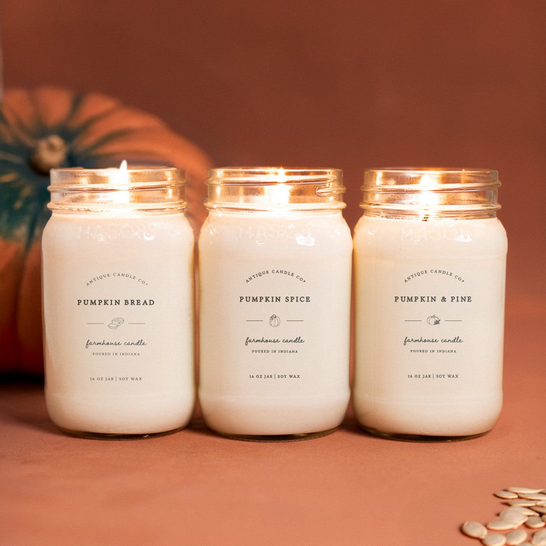 Pumpkin Bundle of Three
