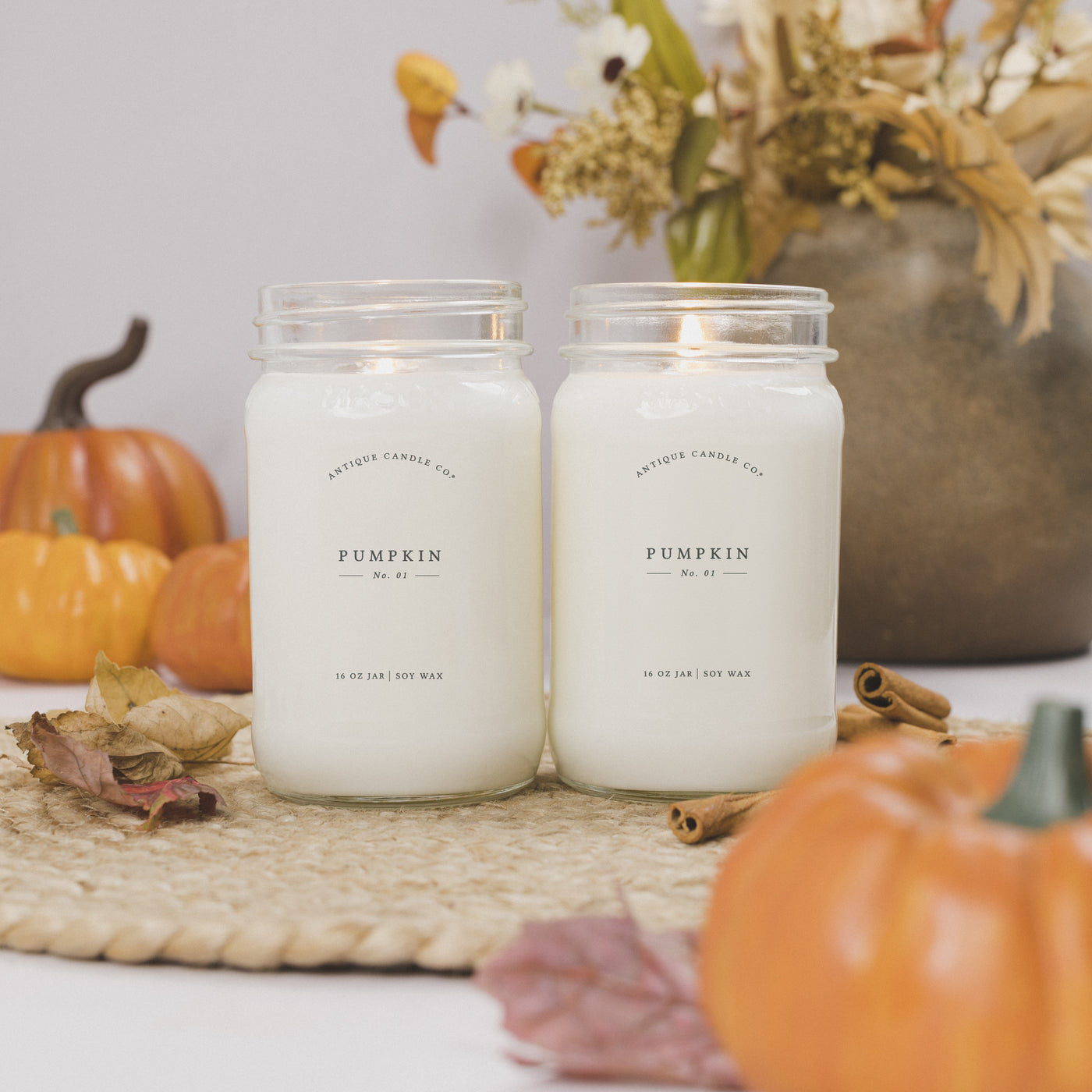 Pumpkin No. 1 Bundle