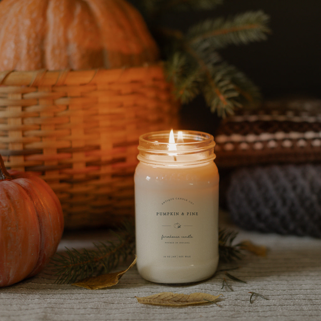 Pumpkin & Pine Bundle