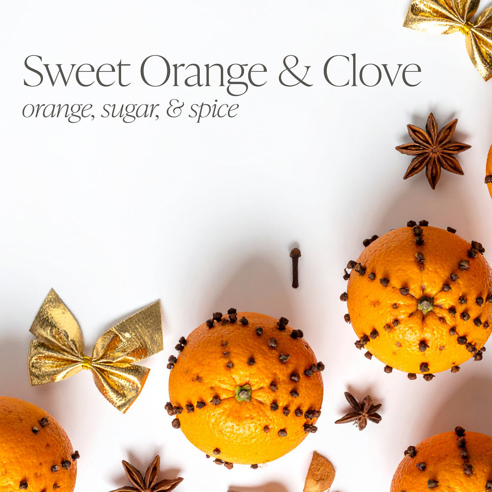 Sweet Orange & Clove 16 oz candle