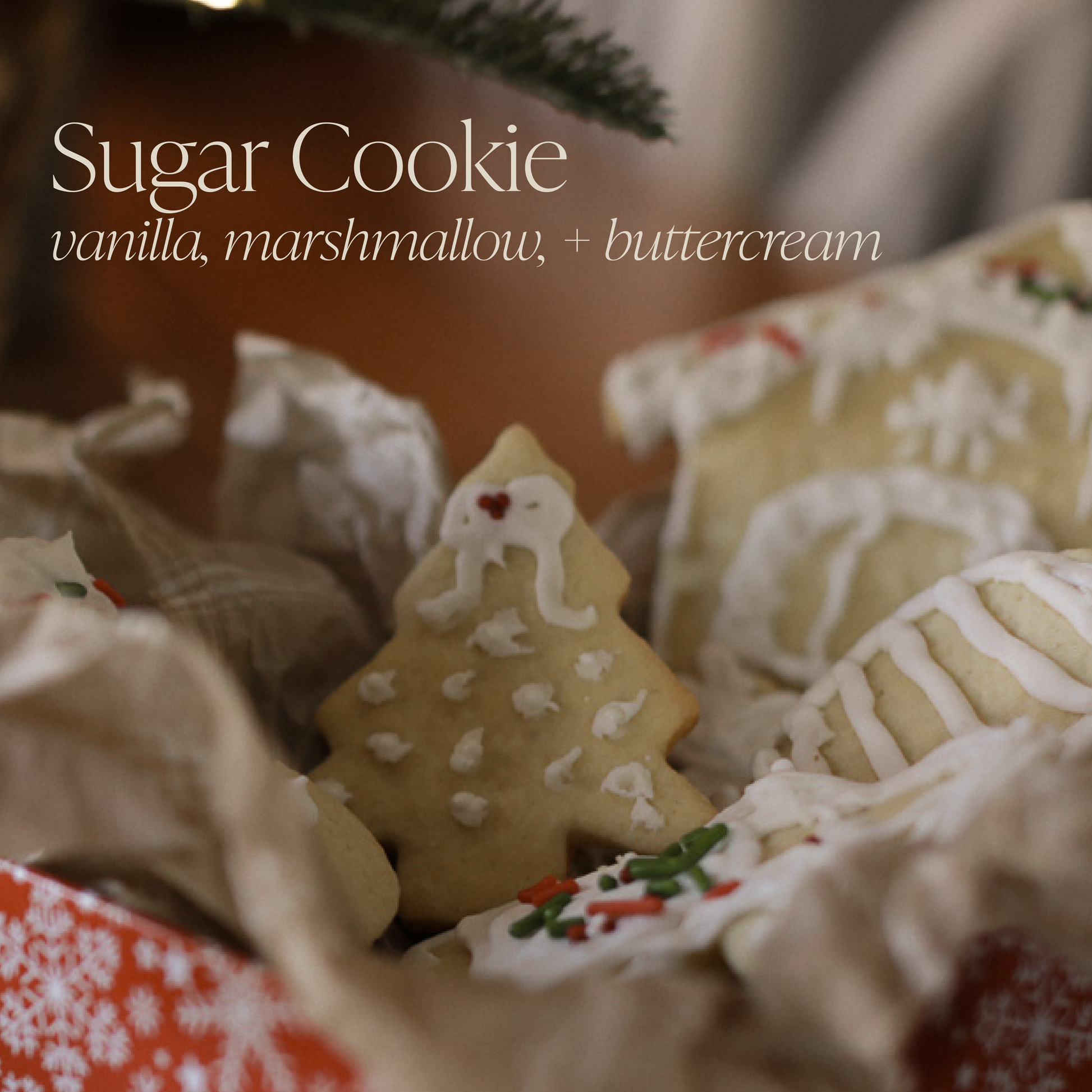 Sugar Cookie 16 oz candle