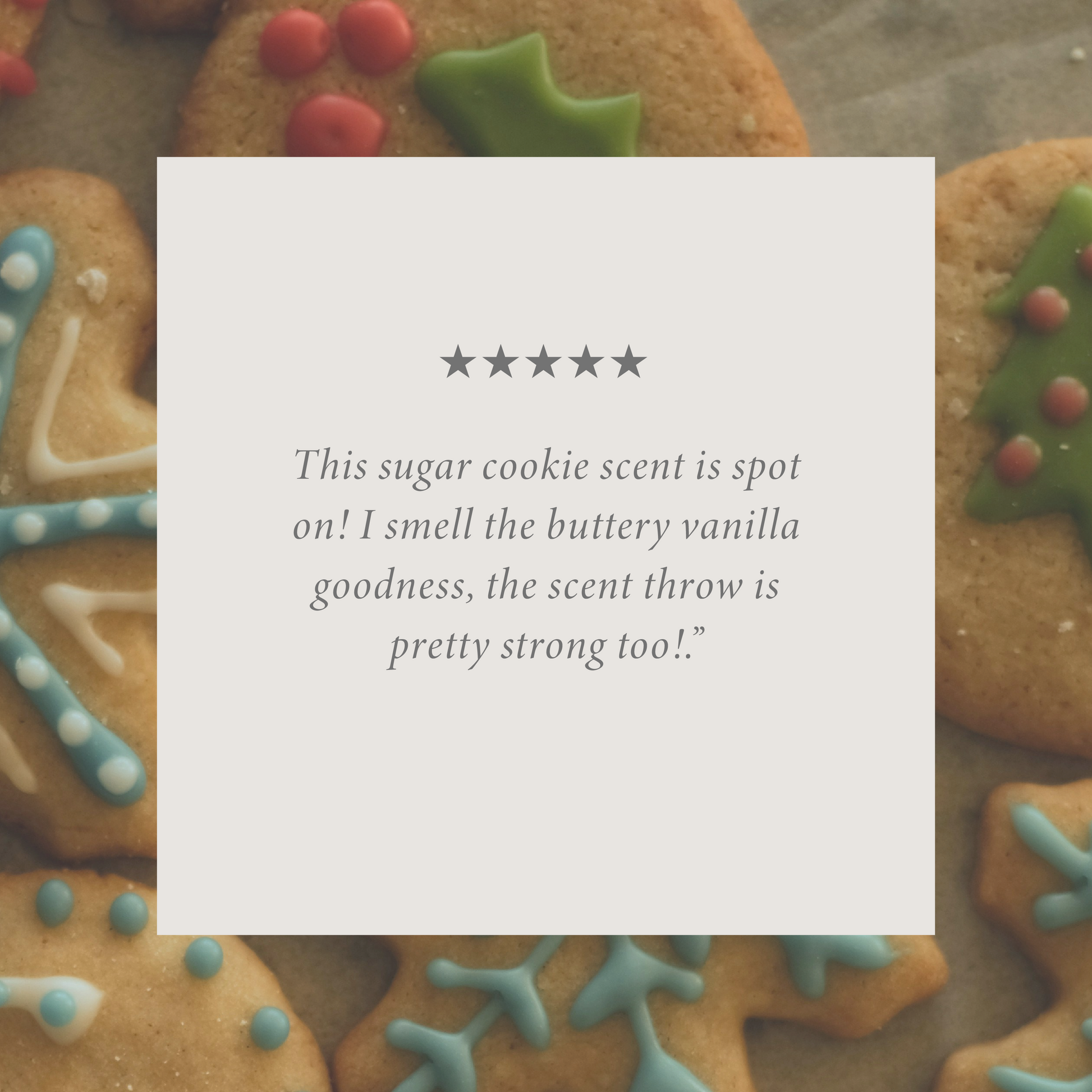 Sugar Cookie 16 oz candle