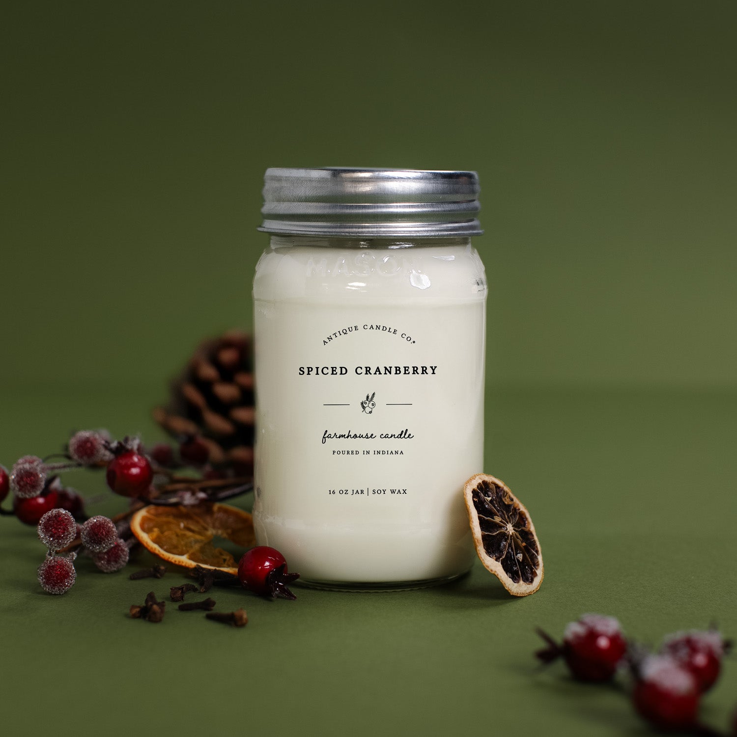 Spiced Cranberry 16 oz candle