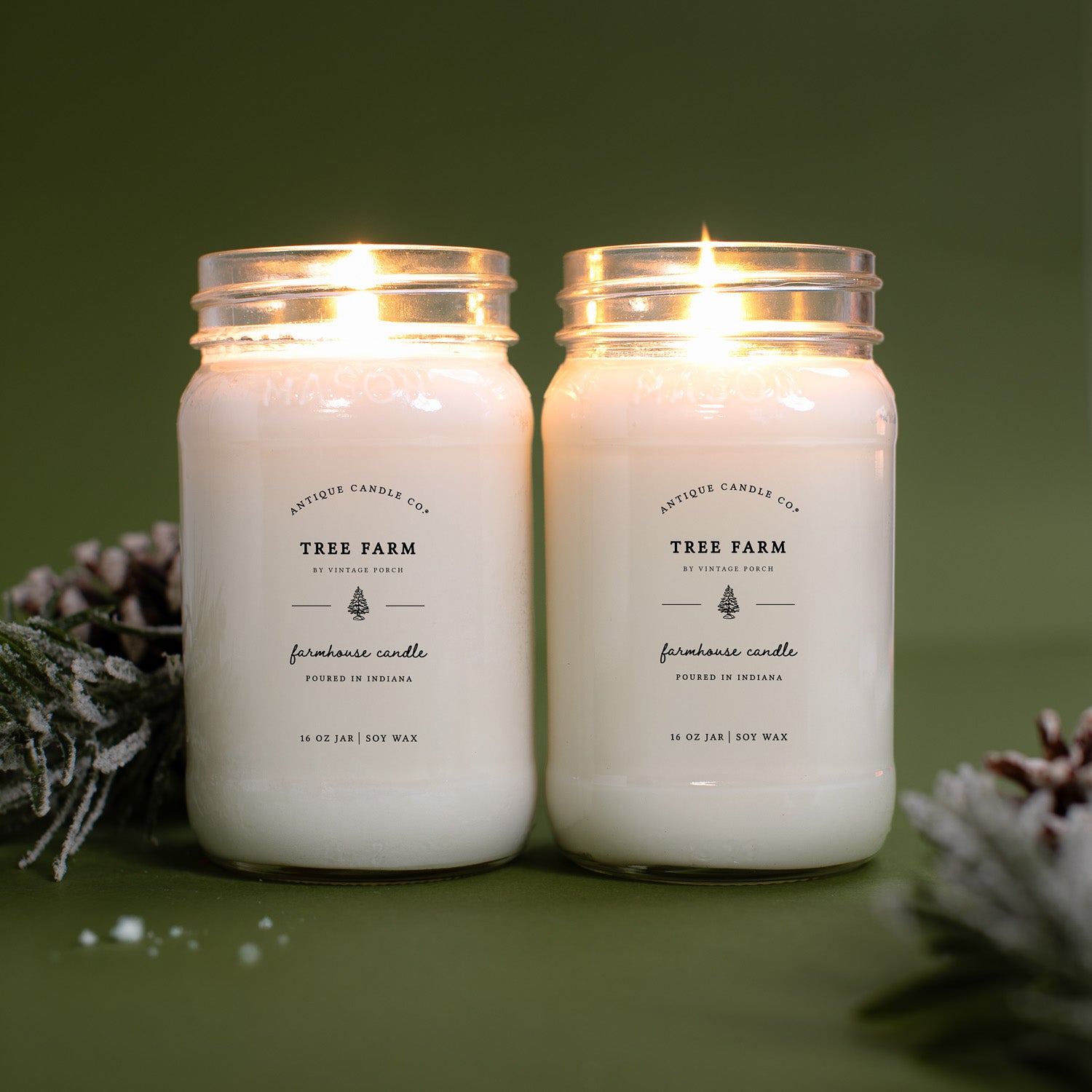 Tree Farm Bundle