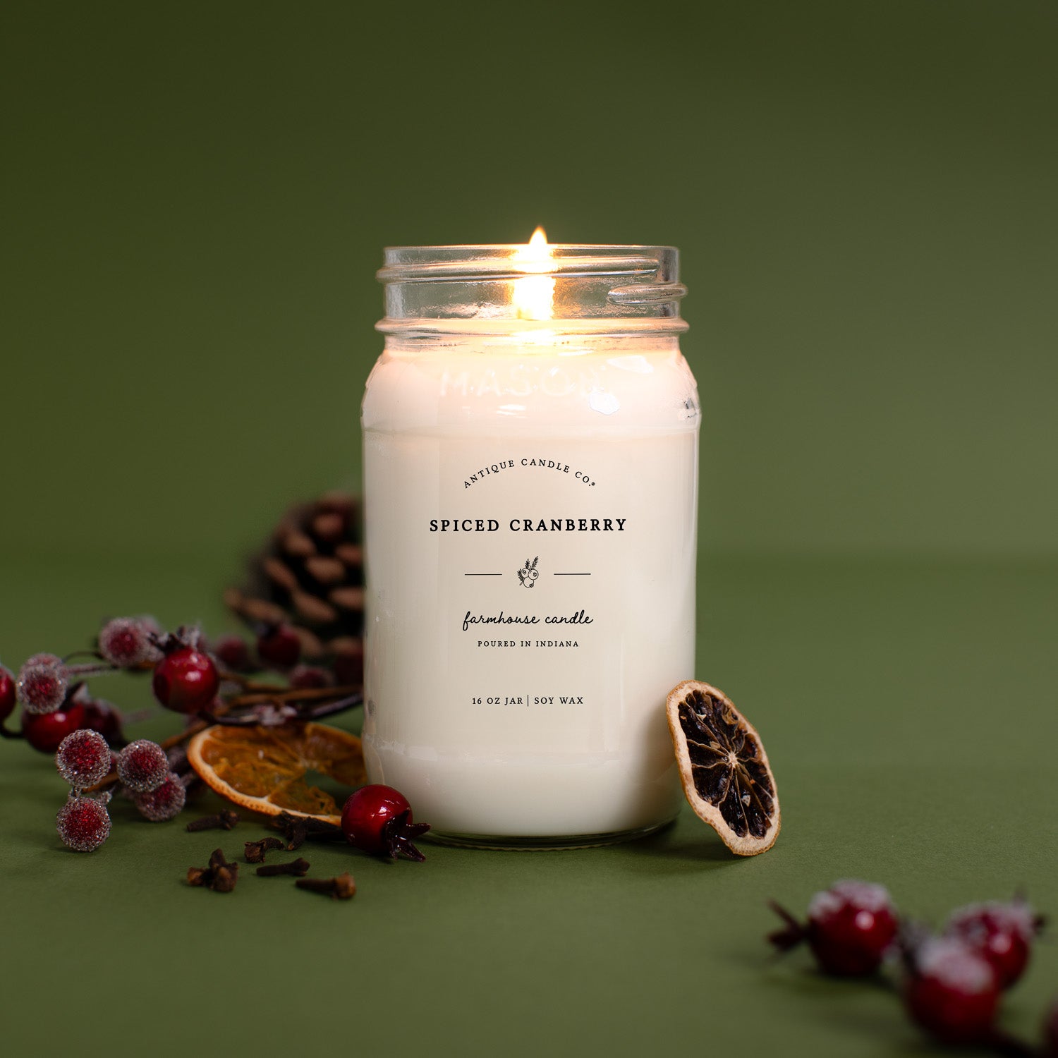 Spiced Cranberry 16 oz candle