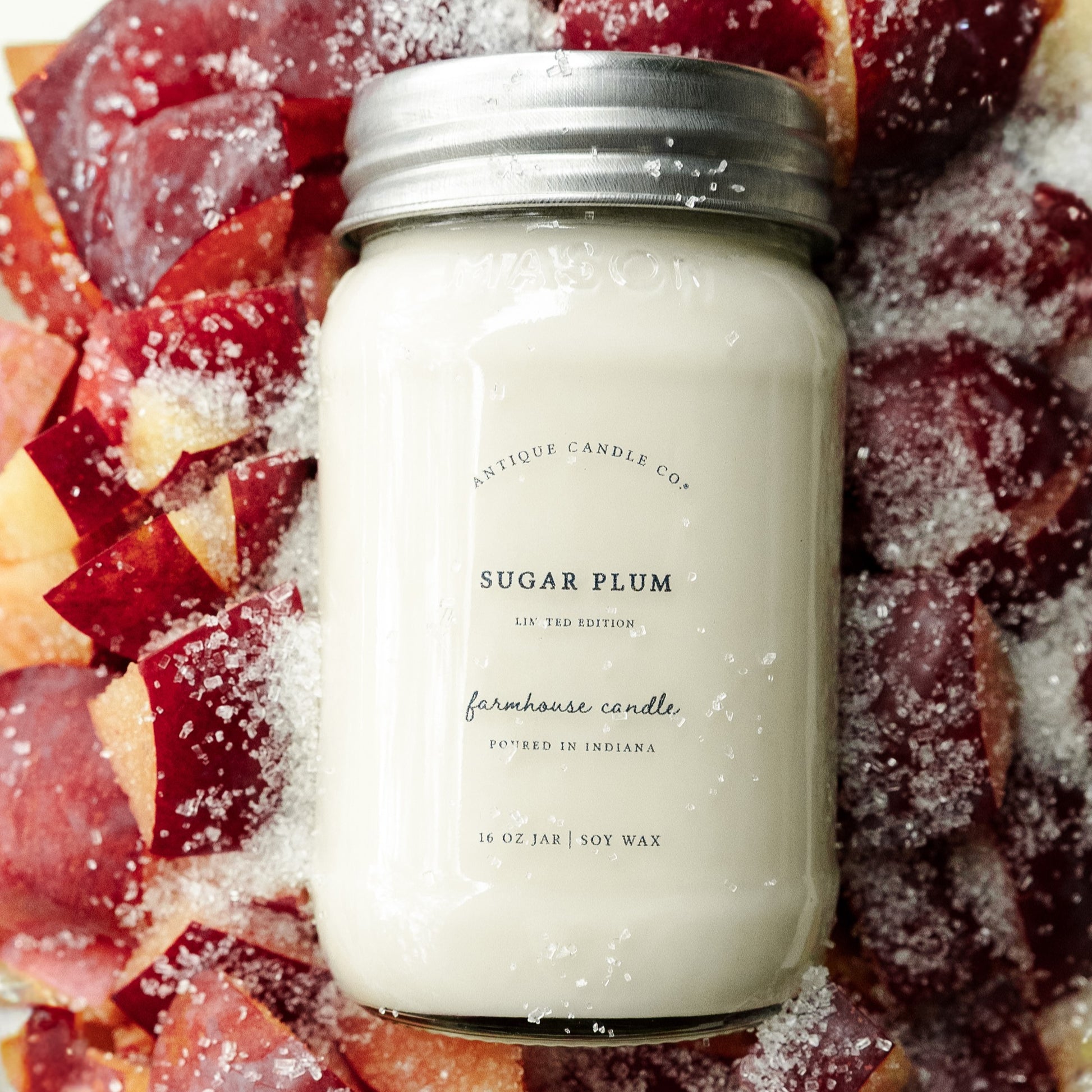 Sugar Plum 16 oz candle