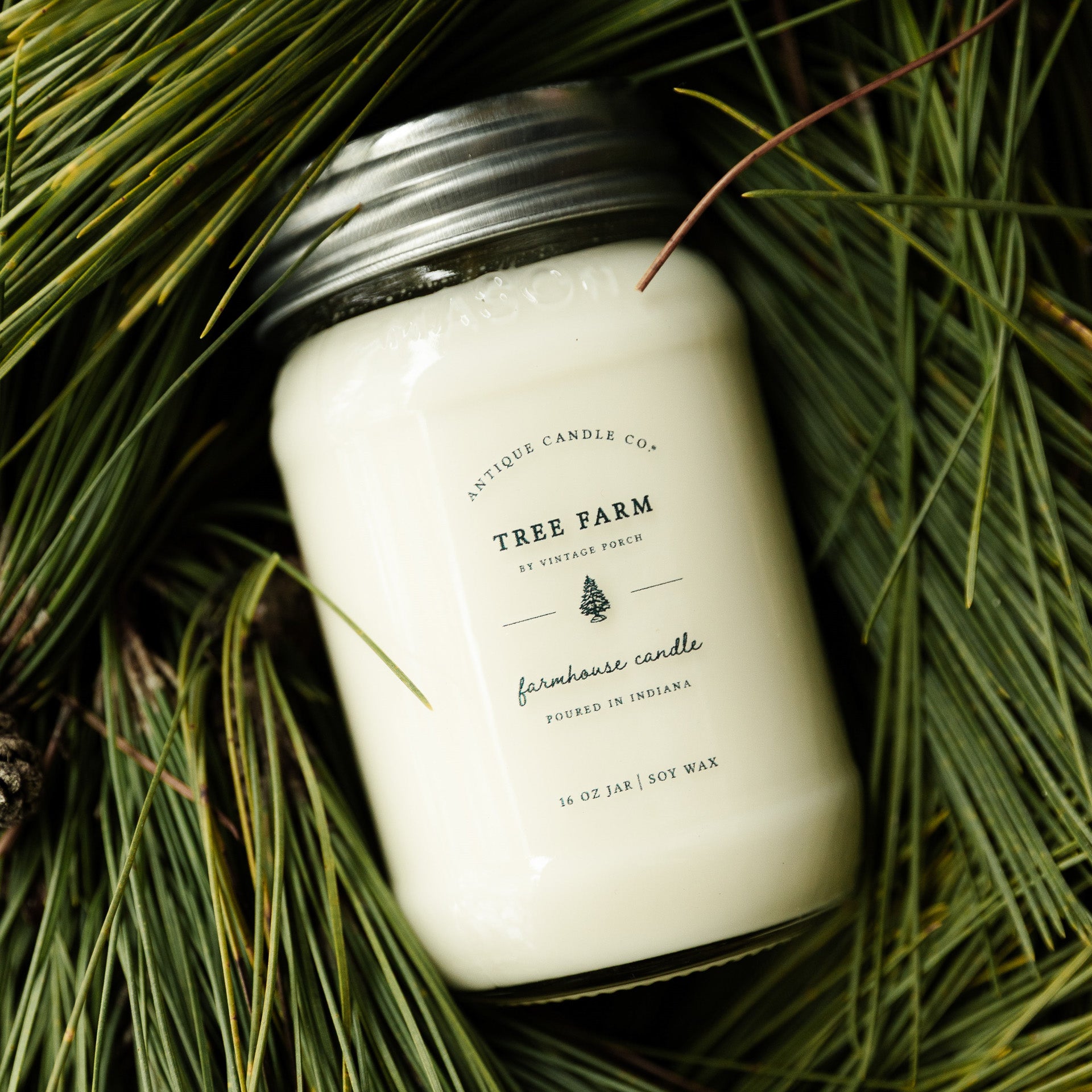 Tree Farm 16 oz candle
