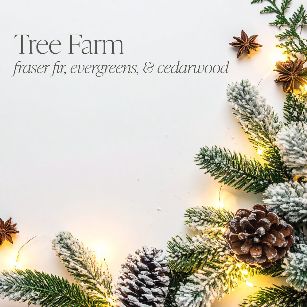 Tree Farm 16 oz candle