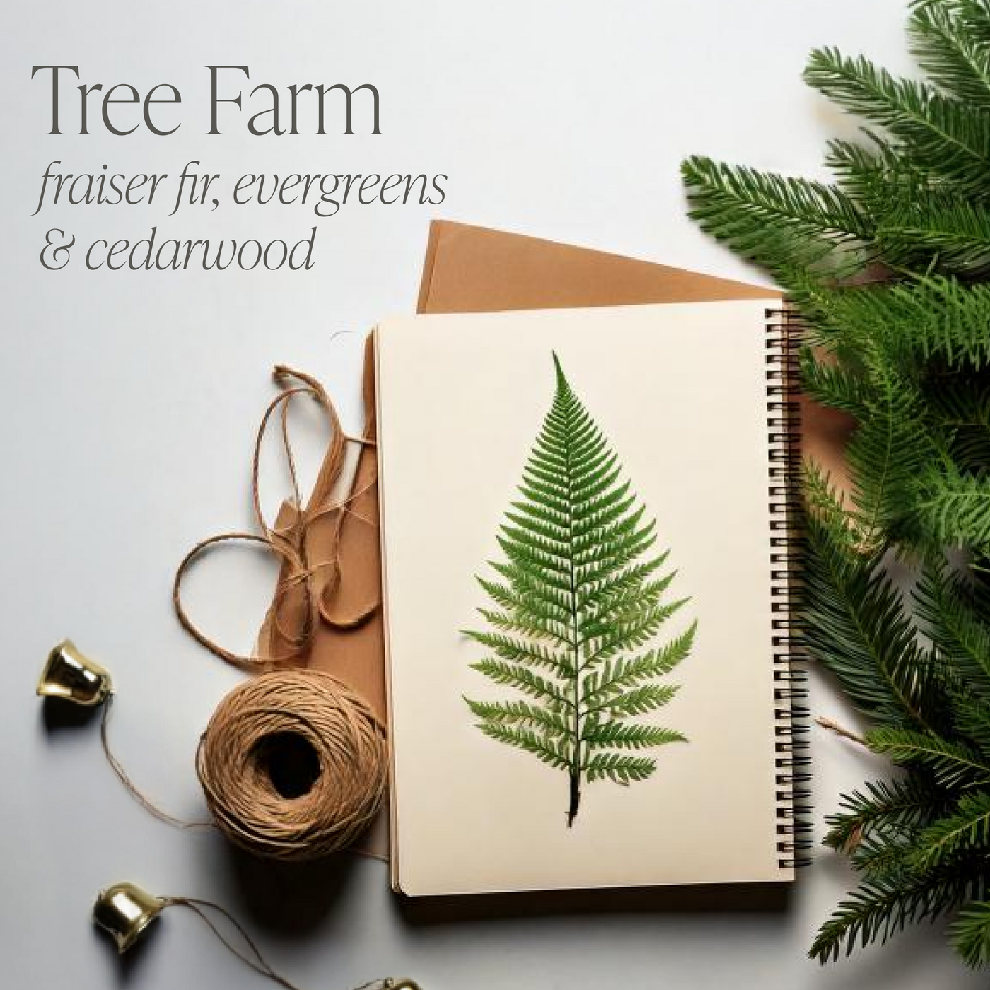 Tree Farm Bundle of Four