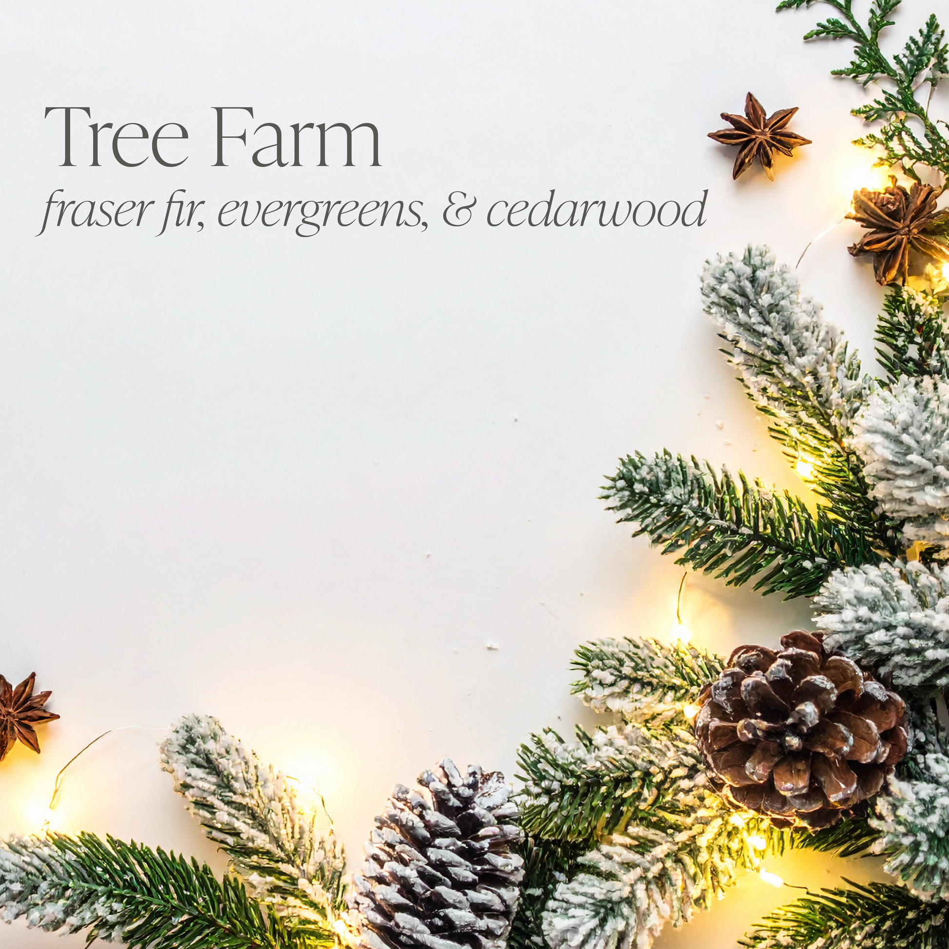 Tree Farm Bundle