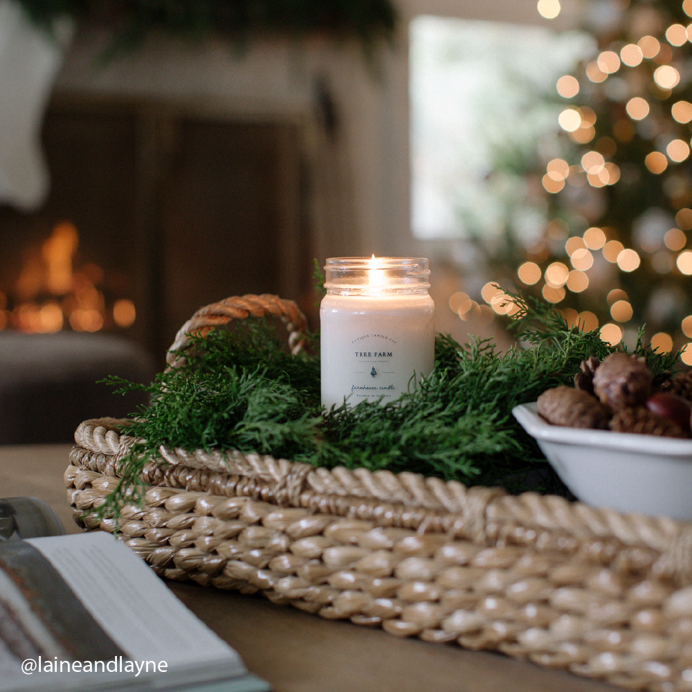 Tree Farm 16 oz candle