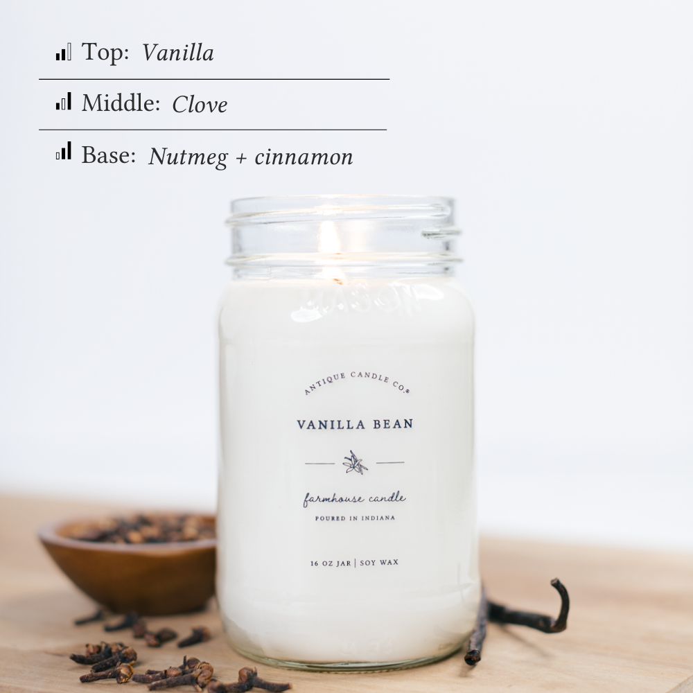 Vanilla Bean 16 oz candle