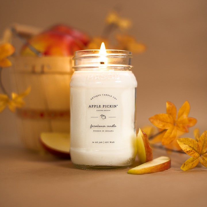 Apple Pickin' 16 oz candle