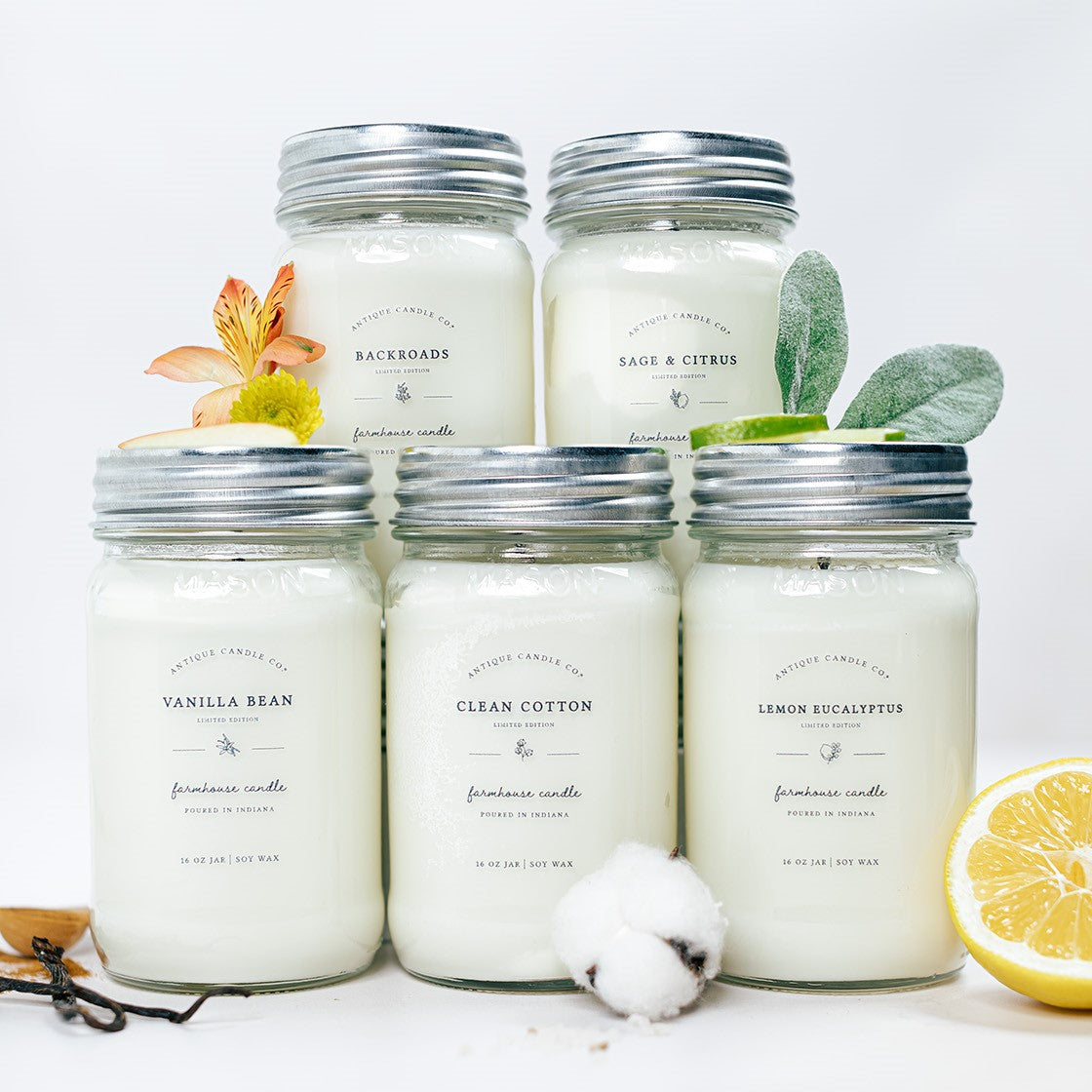 Vault Bundle of Five