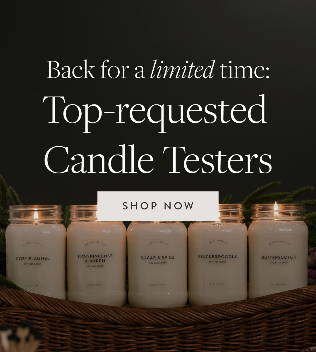 https://antiquecandleco.com/cdn/shop/files/Vault_Testers_Launch-02_ac7bd362-f476-4c2d-8126-dbca76fd4226.png?height=1200&v=1701968322