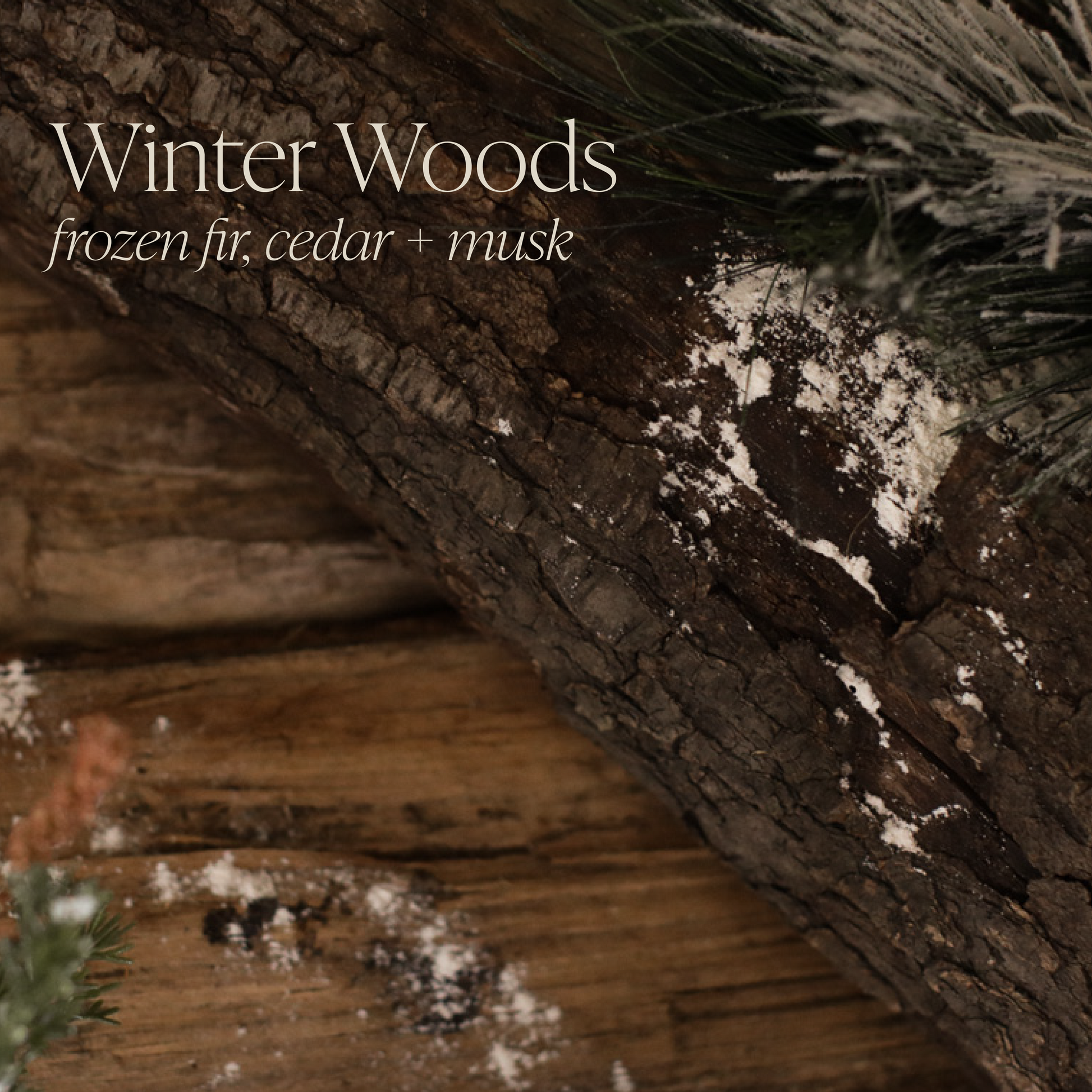 Winter Woods 16 oz candle