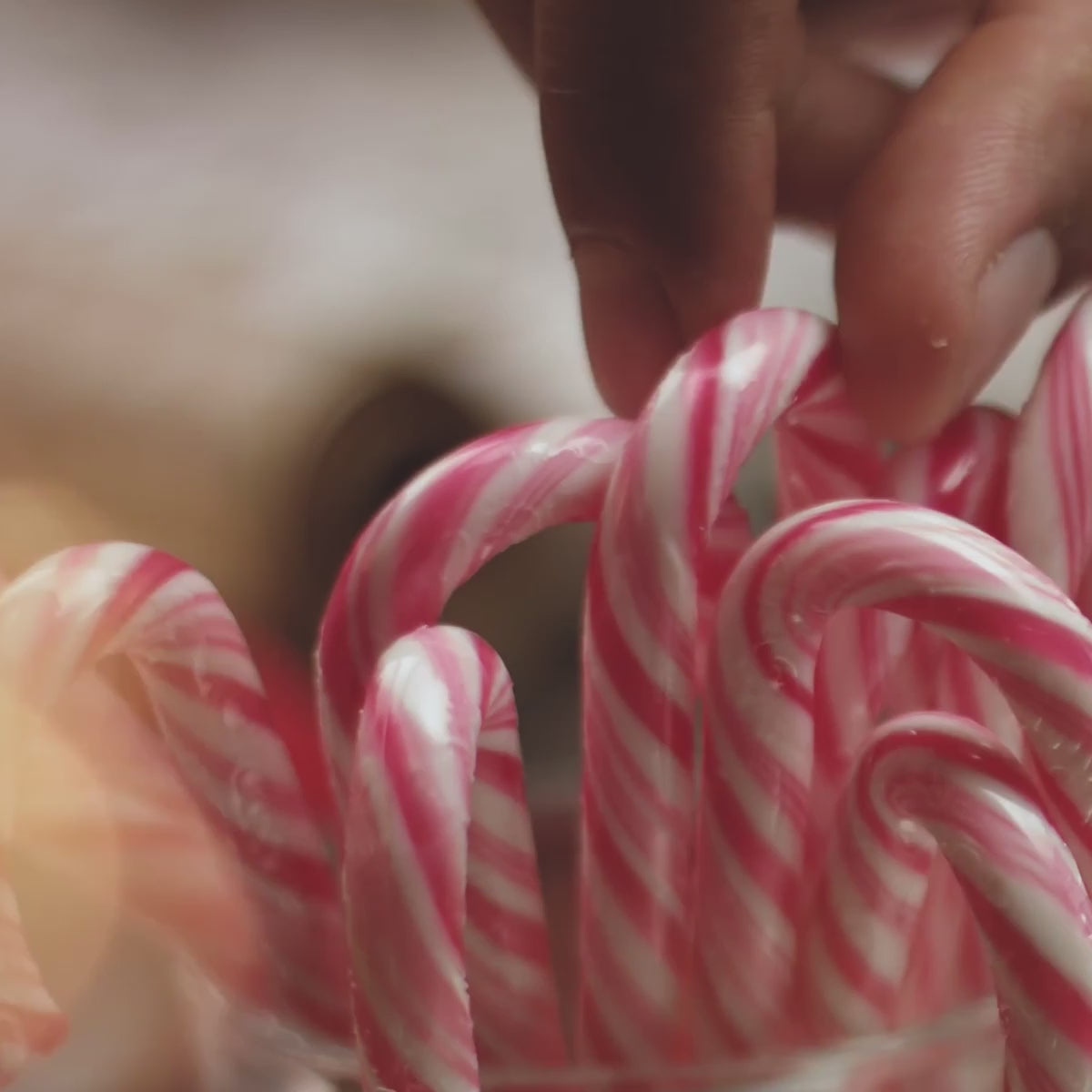 Peppermint Bark Bundle