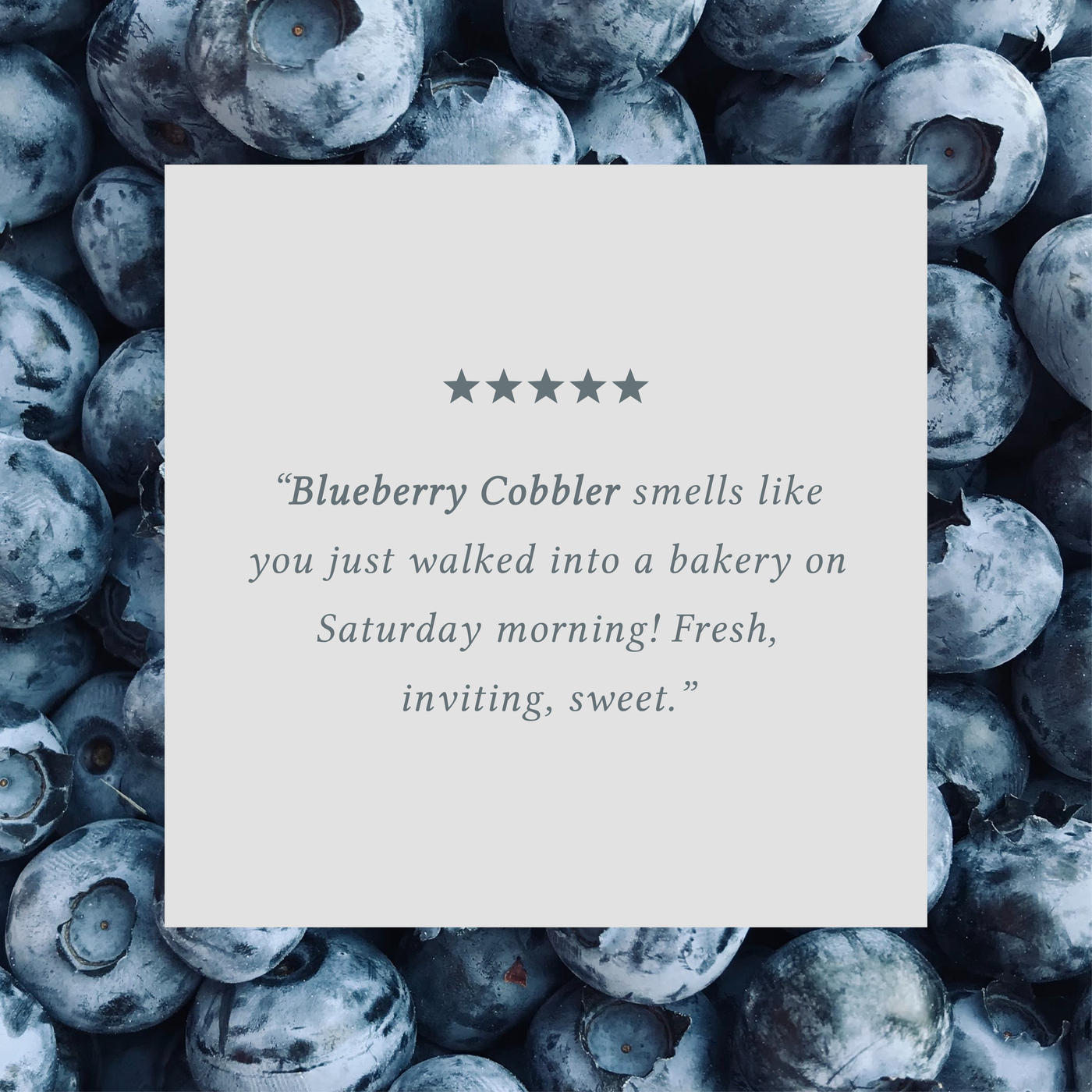 Blueberry Cobbler 8 oz candle